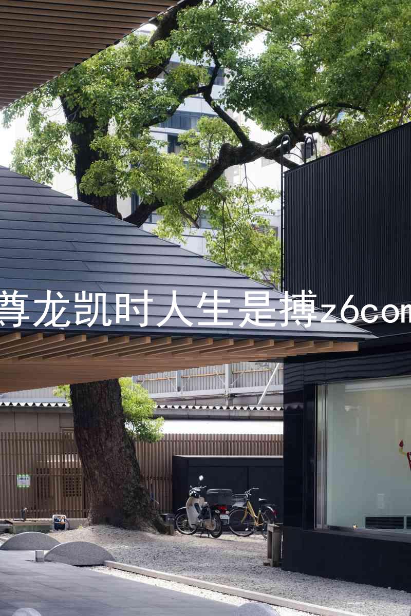 尊龙凯时人生是搏z6com