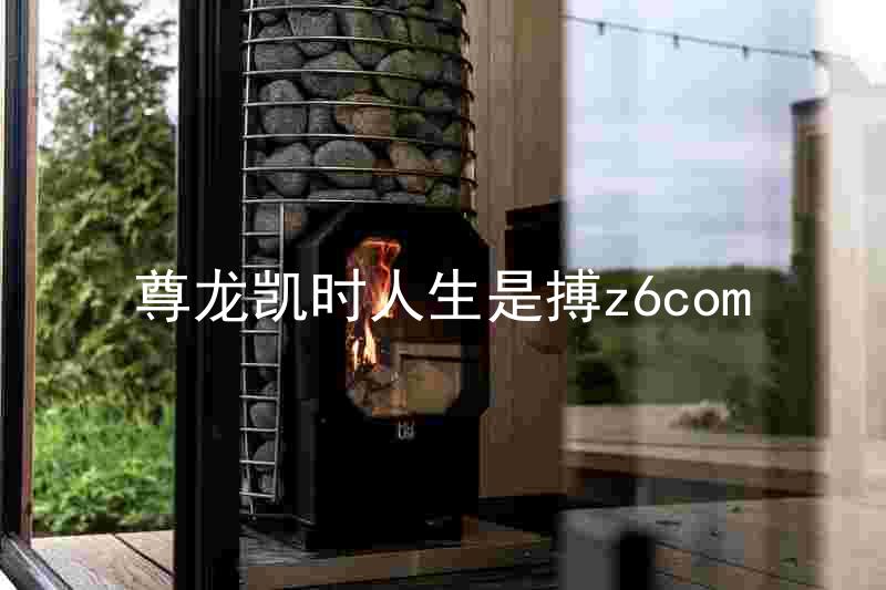 尊龙凯时人生是搏z6com